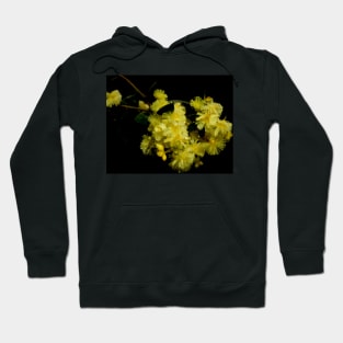 Rainy Wattle Hoodie